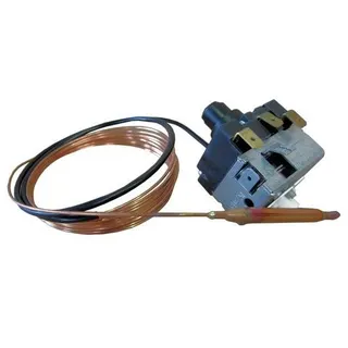Junkers Ersatzteil TTNR: 87185825750 STB JUMO 60.2031 V1 everp