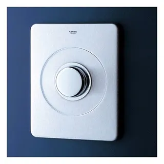 Grohe Abdeckplatte 43901 für Wandeinbauspülkasten aus Edelstahl