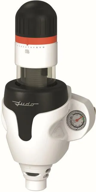 Judo Rückspül Schutzfilter JPF-QC, 1"