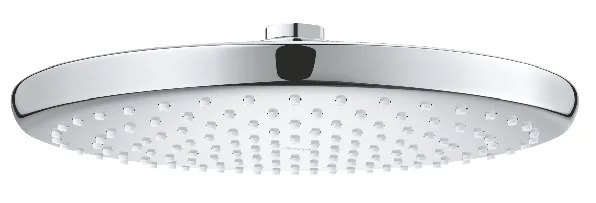 Grohe Tempesta 250 Kopfbrause 1 Strahl (chrom)