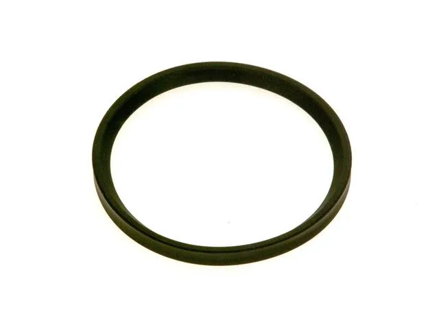 SIEGER Ersatzteil Dichtung D87,25x8 schwarz everp