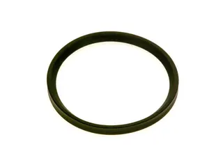 SIEGER Ersatzteil Dichtung D87,25x8 schwarz everp