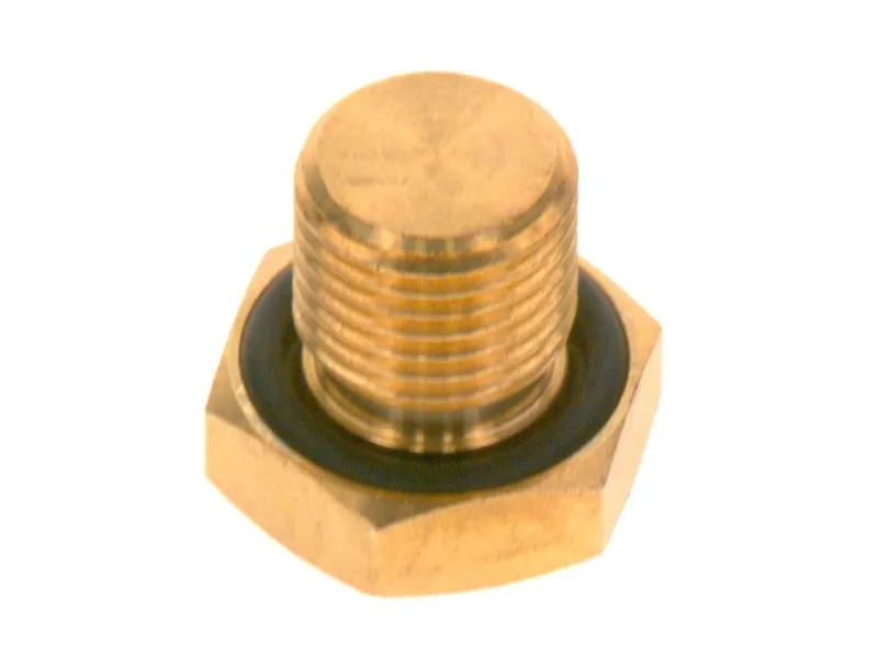 BOSCH Stopfen G1/4 mit O-Ring everp für OC8000iF.., OC8000iFM..