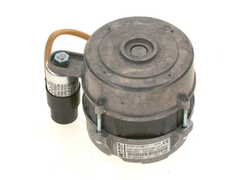 Sieger Ersatzteil Motor 50W 230V 50Hz everp