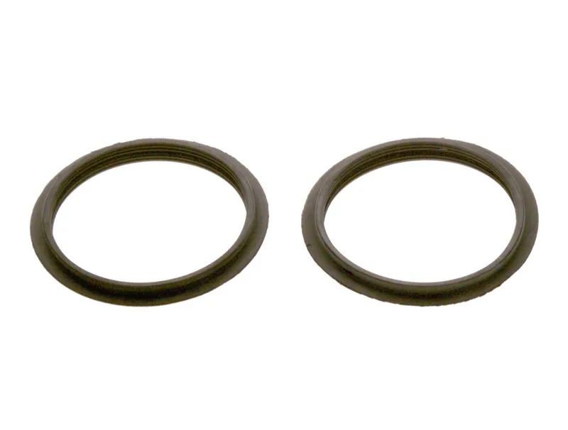 Bosch Ersatzteil Dichtring D59mm (2x)