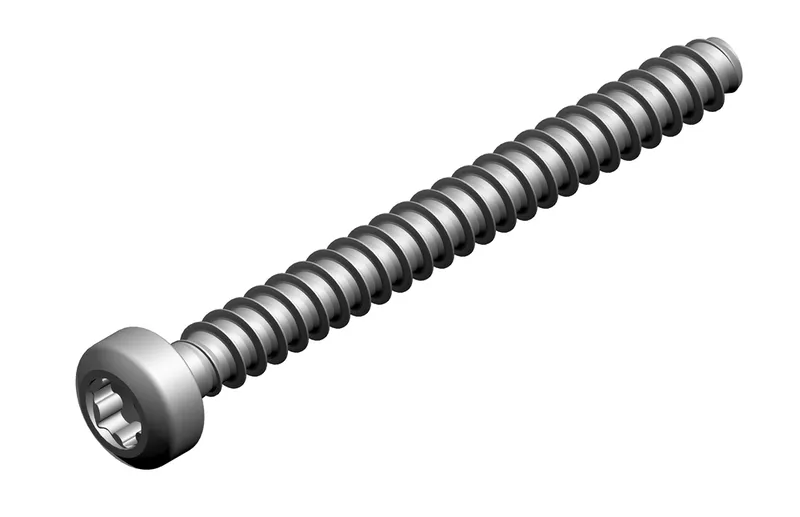 JU/BOSCH Ersatzteil TTNR: 7736700683 Schraube M 35 x 35 (2x)
