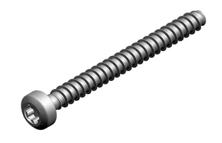 JU/BOSCH Ersatzteil TTNR: 7736700683 Schraube M 35 x 35 (2x)