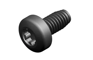 JU/BOSCH Ersatzteil TTNR: 7746900442 Schraube 40x8/7 TORX (10x) everp