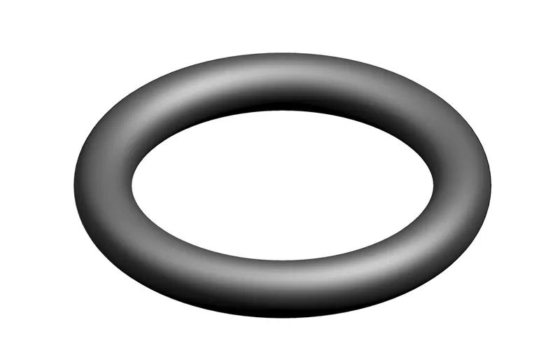 SIEGER Ersatzteil 8718601962 O-RING 2.62X18.72 (10x)