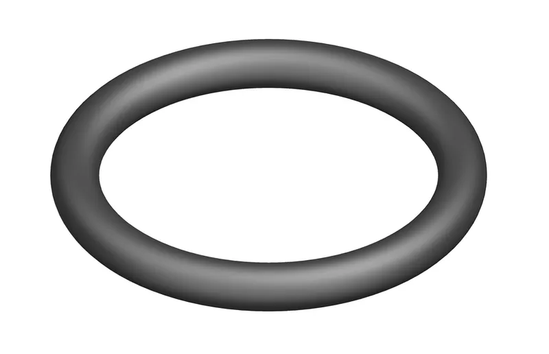Bosch Ersatzteil O-Ring 18.7x2.7 (10x)