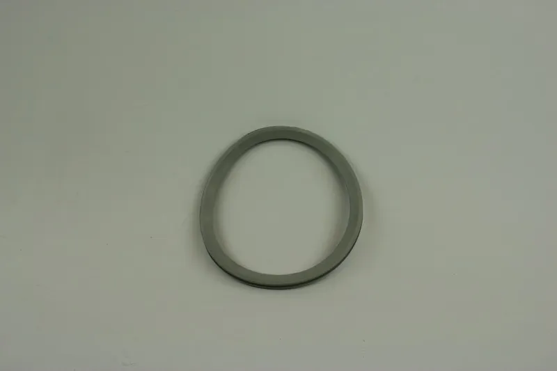BOSCH Lippendichtung DN 160 für GC7000WP 70, GC7000WP 100