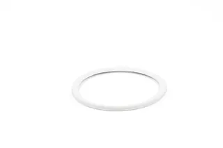 BOSCH Lippendichtung DN 185 für GC7000WP 70, GC7000WP 100