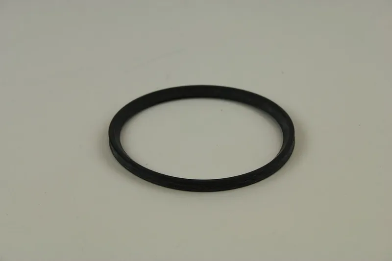 BOSCH Lippendichtung DN 110 für GC7000WP 70, GC7000WP 100