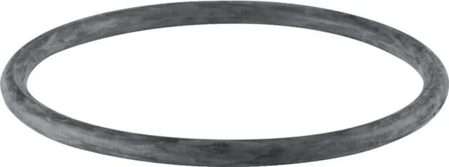Geberit PE Rundschnurring DN 40