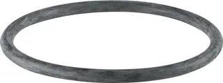 Geberit PE Rundschnurring DN 40