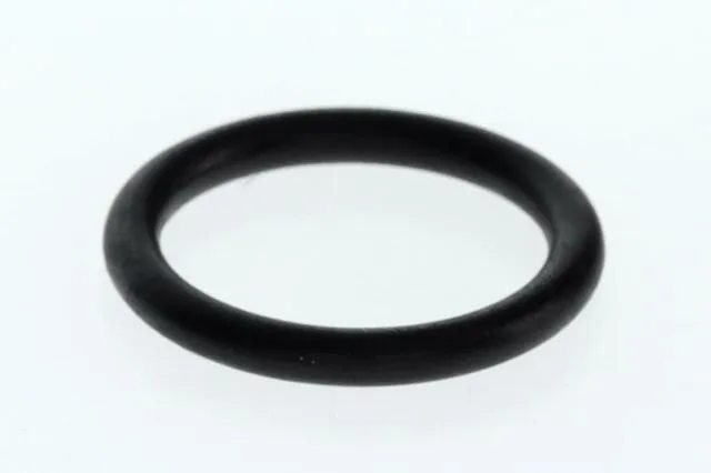 Junkers O-Ring (10x)