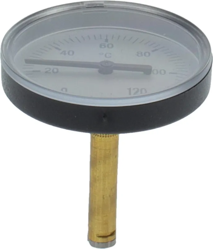 BOSCH Thermometer blau