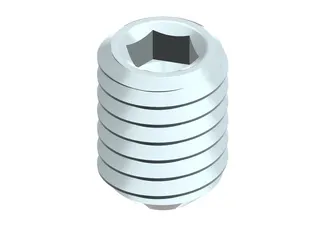 JU/BOSCH Ersatzteil TTNR: 7747029978 Gewindestift DIN916 M6x8 (3x)