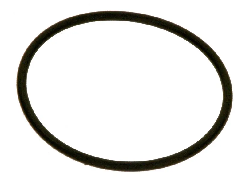 Junkers Ersatzteil TTNR: 7736700124 O-Ring Pumpe