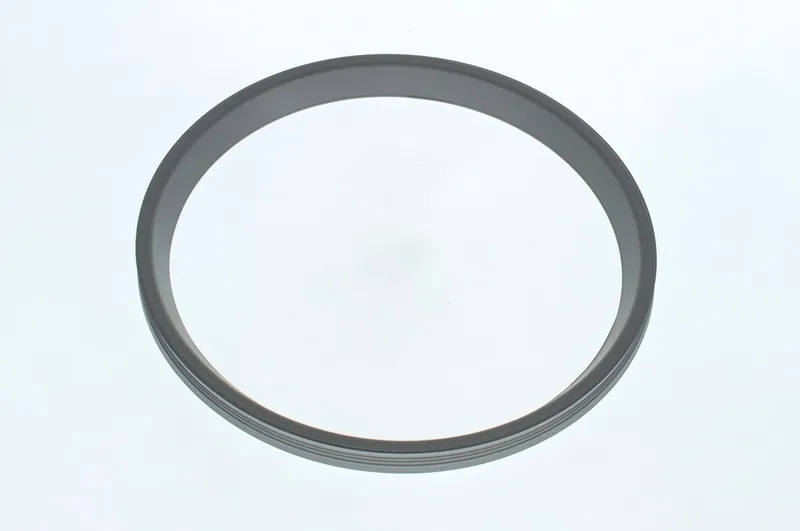 BOSCH Lippendichtung DN160