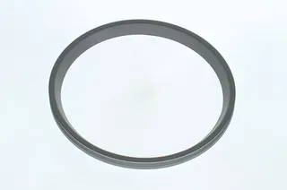 BOSCH Lippendichtung DN160