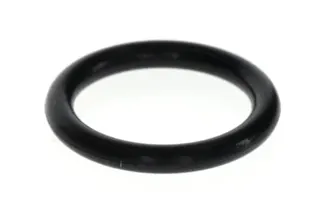 BOSCH O-Ring 15,88x2,62mm (10x)