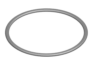 Junkers Ersatzteil O-Ring (10x)