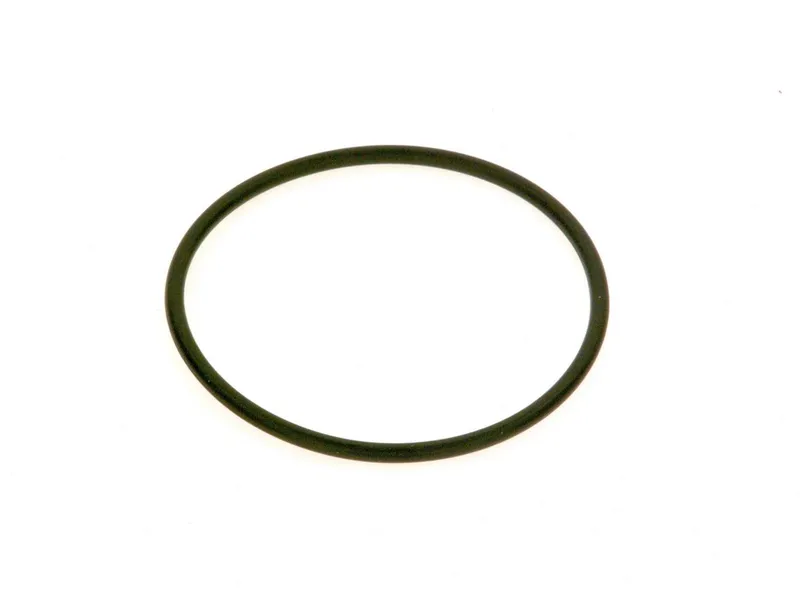 SIEGER Ersatzteil TTNR: 7736700104 O-Ring Askoll (5x)