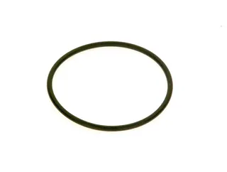 SIEGER Ersatzteil TTNR: 7736700104 O-Ring Askoll (5x)