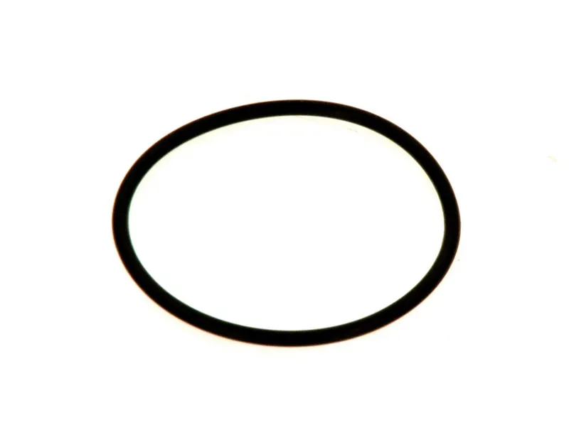 Bosch Ersatzteil O-Ring 66,27x3,53mm (2x) everp