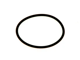 Bosch Ersatzteil O-Ring 66,27x3,53mm (2x) everp