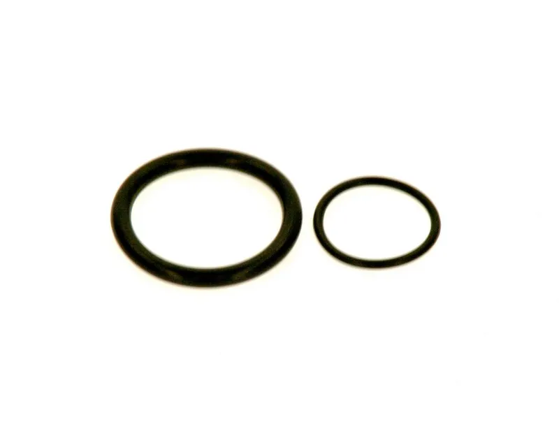 SIEGER Ersatzteil 7098915 O-Ring Set für Doppelnippel 2x5Stück