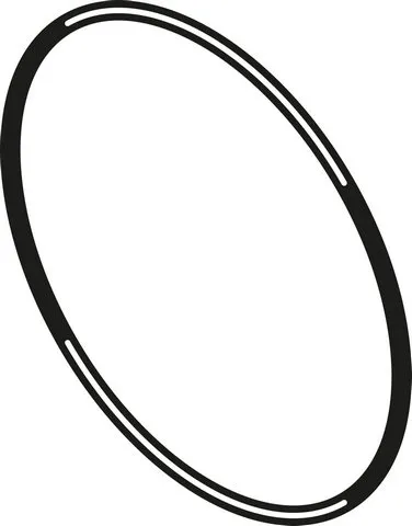 BOSCH Ersatzteil TTNR: 8738804597 O-ring ISO3601-1-365B-177,17x5,33 everp