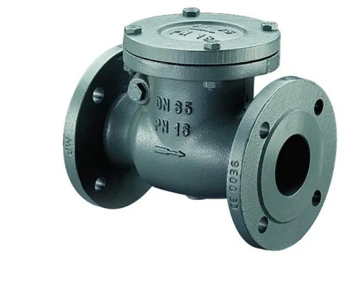 BOSCH Installationszubehör RK16-65 Rückschlagklappe PN 16 DN 65
