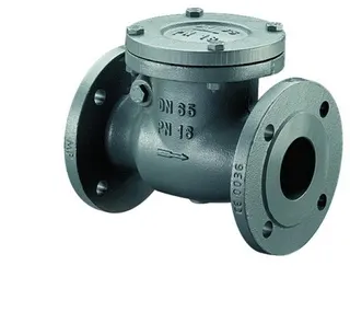 BOSCH Installationszubehör RK16-50 Rückschlagklappe PN 16 / DN 50