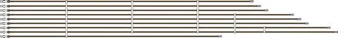 JU/BOSCH Ersatzteil TTNR: 87185892900 Kabel Set-Comfort