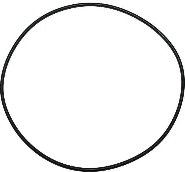 Wolf Dichtung O-Ring 200x4