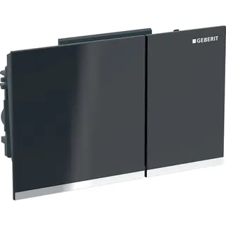 Geberit BetPl. Omega60, für 2-Mengen-Sp. Glas schwarz ET