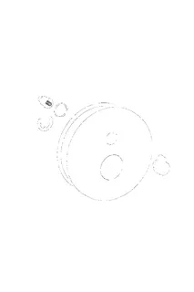 Hansa Rosette d: 170 mm komplett Varox Pro