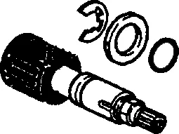 Hansa Umstellküken 59911746