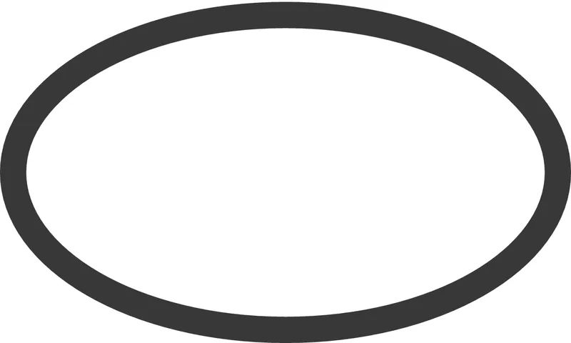 Hansgrohe O-Ring 19x2mm