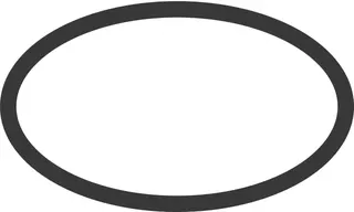 Hansgrohe O-Ring 19x2mm