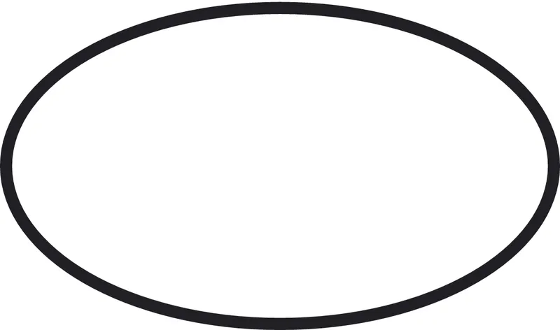 Hansgrohe O-Ring 48x5mm