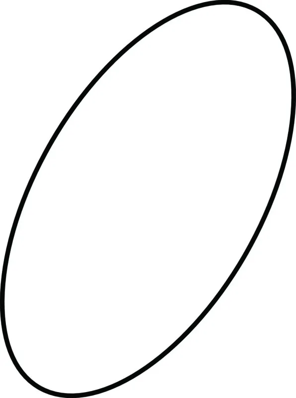 Ideal Standard O-Ringe (2 Stück)
