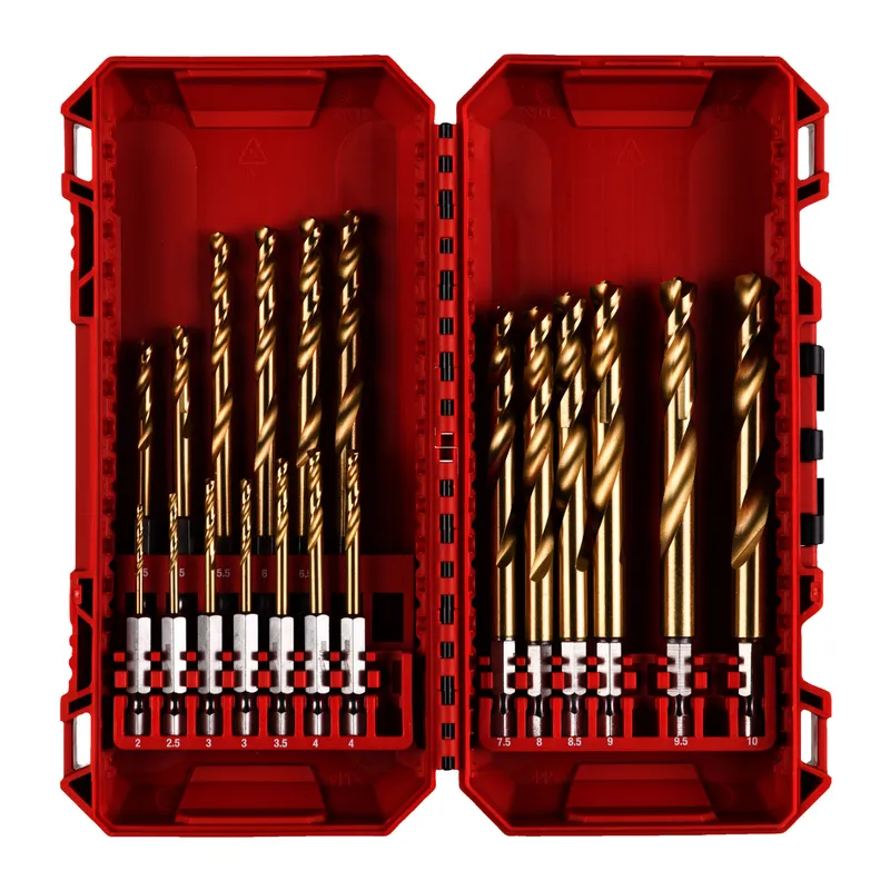 HSS-Metallbohrer-Set RE DHEX Titan 1/4" 19-tlg. in PACKOUT kompatibler Kassette