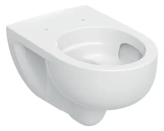 Geberit Renova WWC, Tiefspüler TurboFlush, T:54cm, weiß