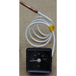 Vaillant Thermometer
