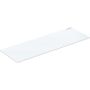 Geberit design cover plate for Geberit AquaClean Tuma: white glass