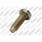 Vaillant cap screw, KS/S, Vaillant no. 118936