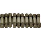 Wolf 6.3 A slow-blow fuse (10 pieces) (replaces item no....